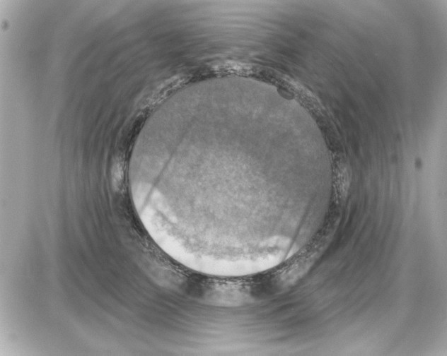 X0000085260709200704092114