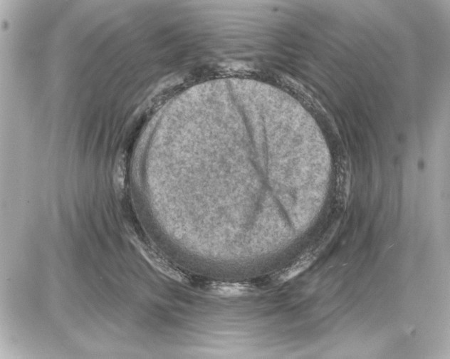 X0000085260710200704092114