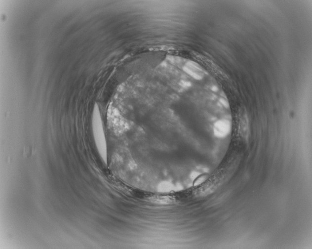 X0000085260711200704092114