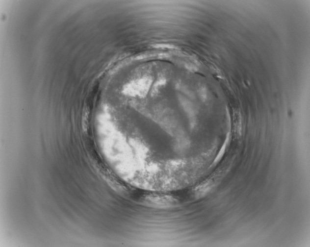 X0000085260712200704092114