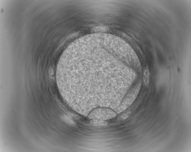 X0000085260714200704092114