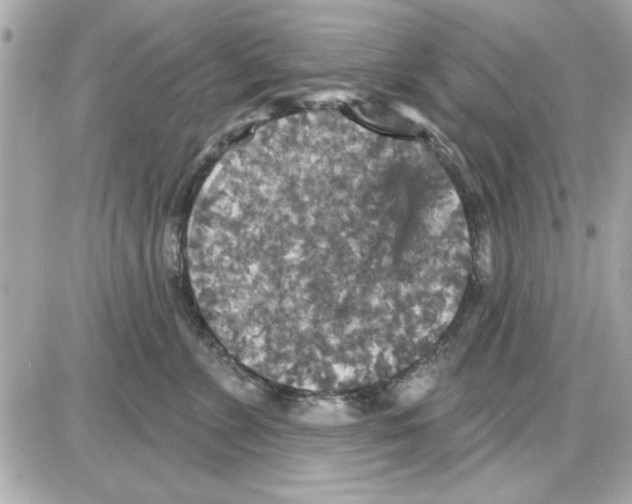 X0000085260715200704092114