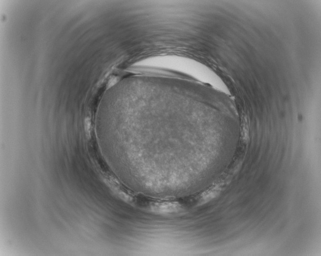 X0000085260716200704092114