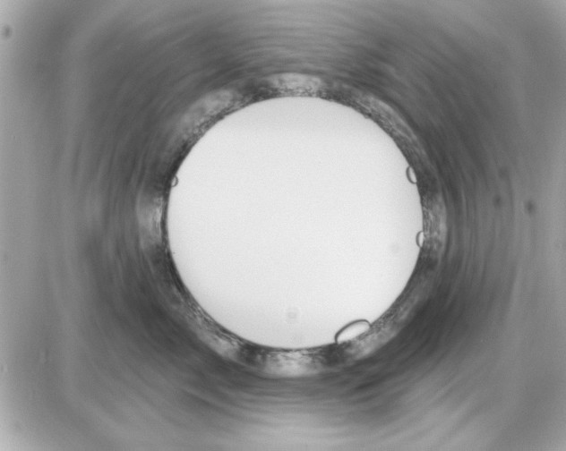 X0000085260717200704092114