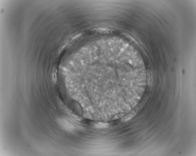 X0000085260718200704092114