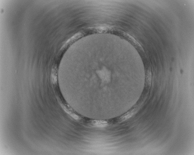 X0000085260719200704092114