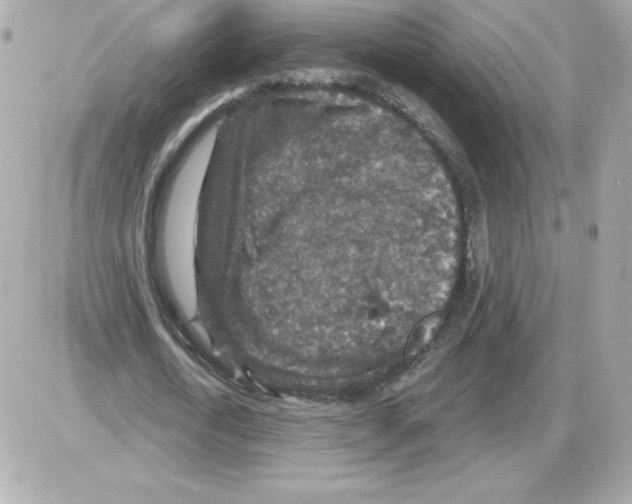 X0000085260722200704092113