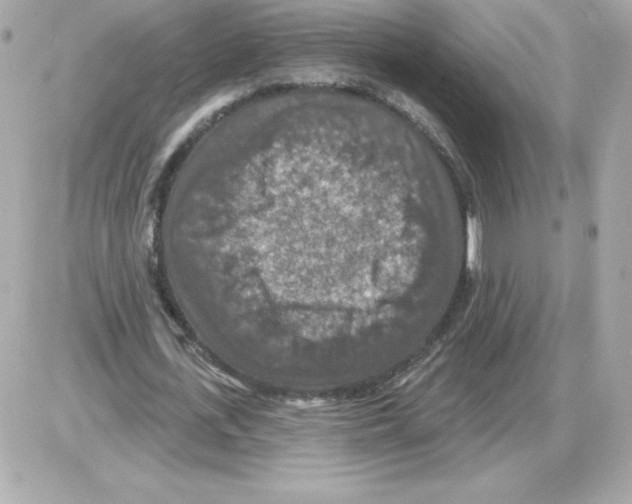 X0000085260723200704092113