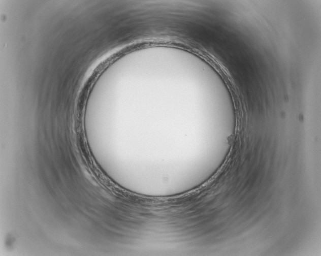 X0000085260724200704092113