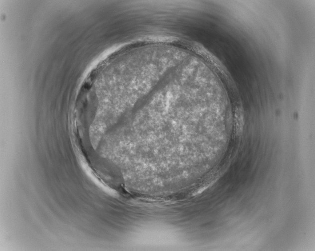 X0000085260726200704092113