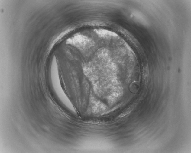 X0000085260727200704092113