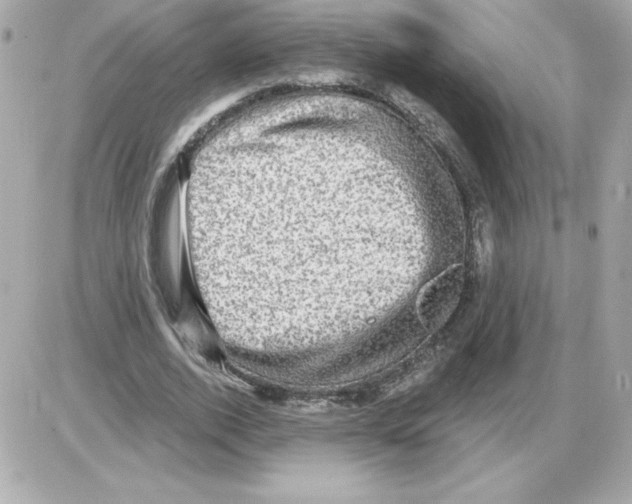 X0000085260728200704092114