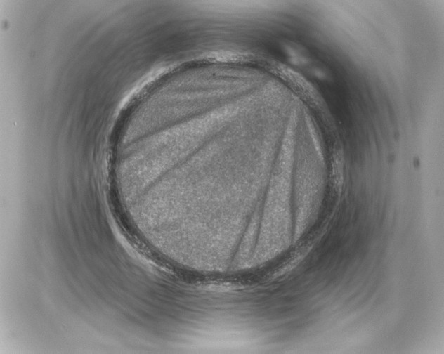 X0000085260730200704092114