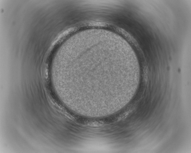 X0000085260731200704092114