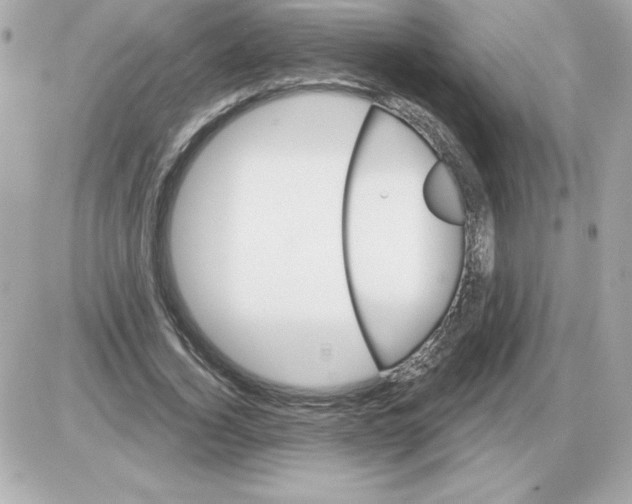 X0000085260732200704092114