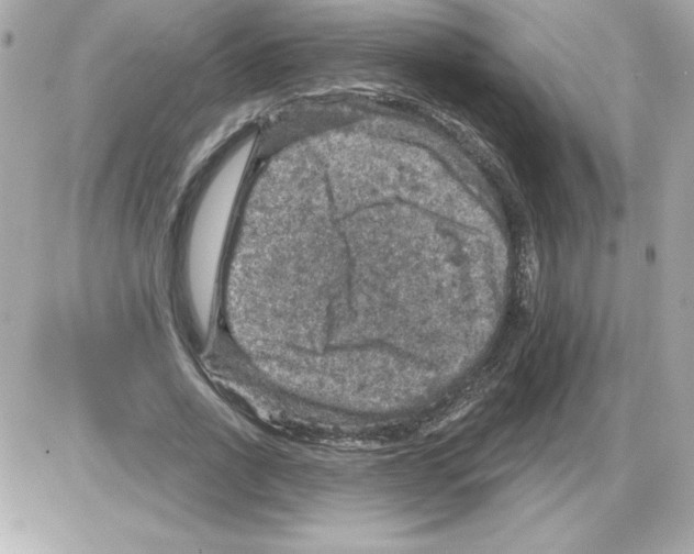 X0000085260734200704092114