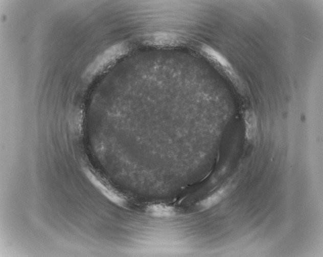 X0000085260735200704092114