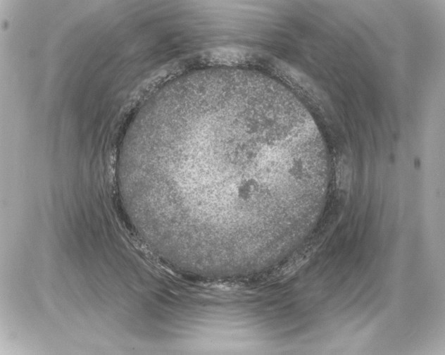 X0000085260737200704092114