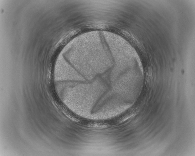 X0000085260739200704092114