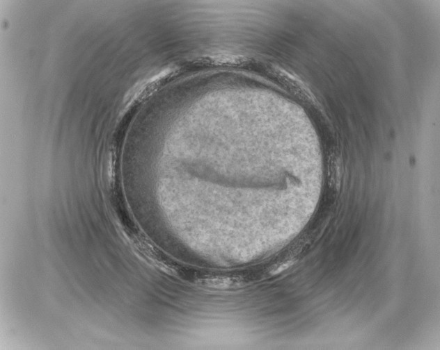 X0000085260740200704092114