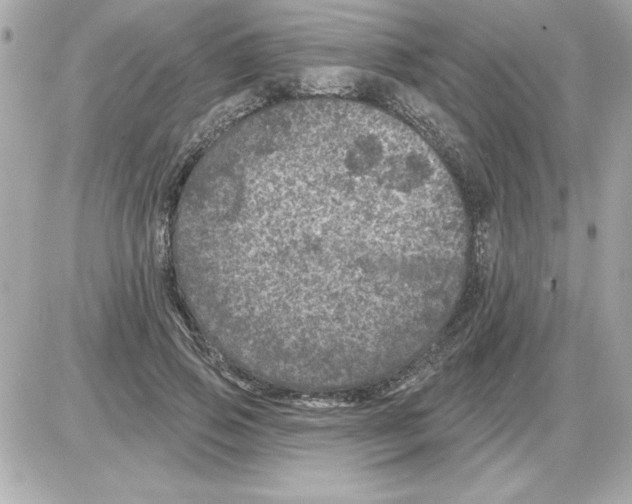 X0000085260741200704092114