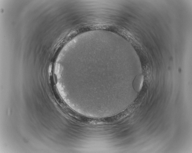 X0000085260742200704092114