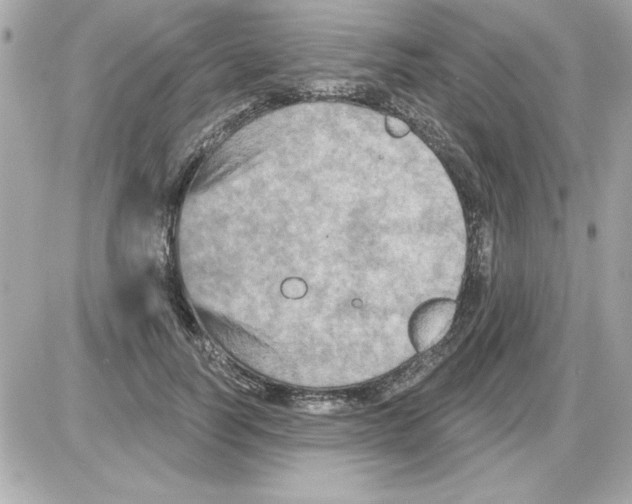 X0000085260746200704092114