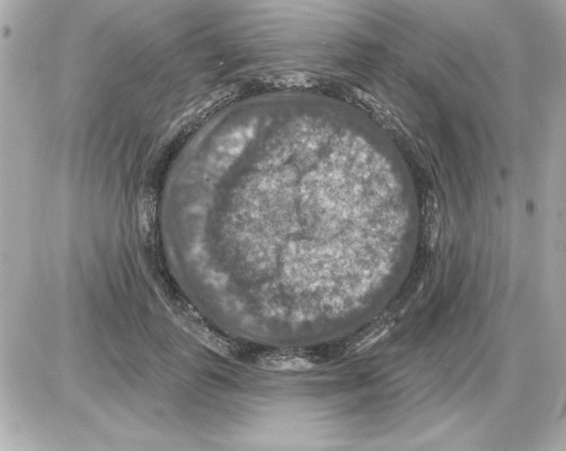 X0000085260747200704092114