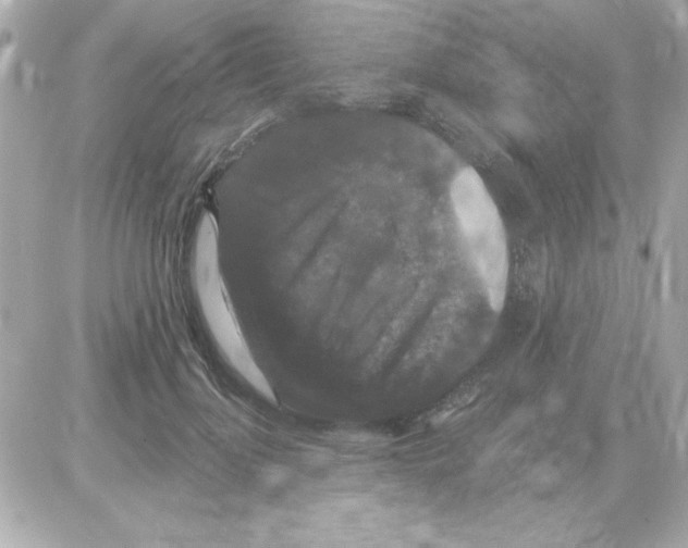 X0000085260748200704092114