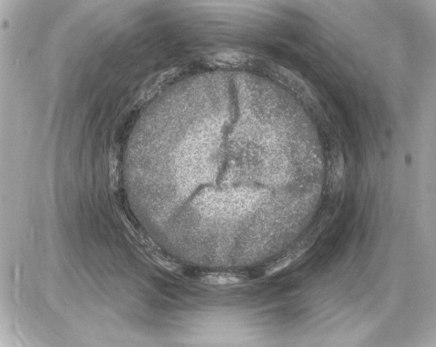 X0000085260749200704092114