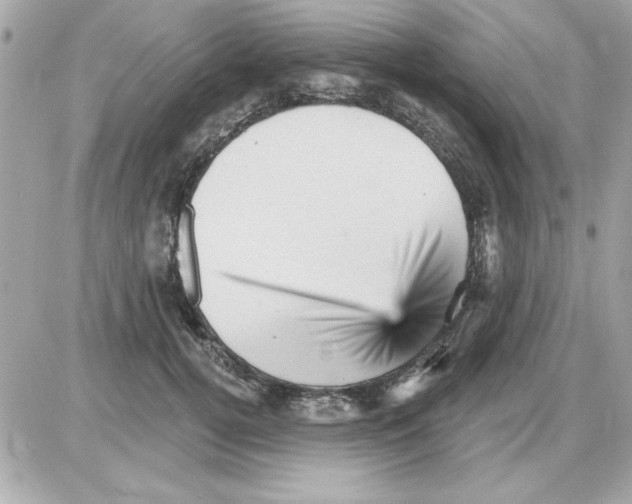 X0000085260752200704092114