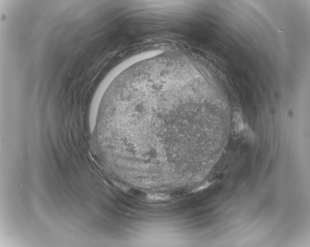 X0000085260753200704092114