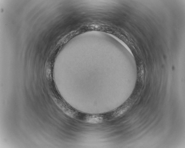 X0000085260754200704092114