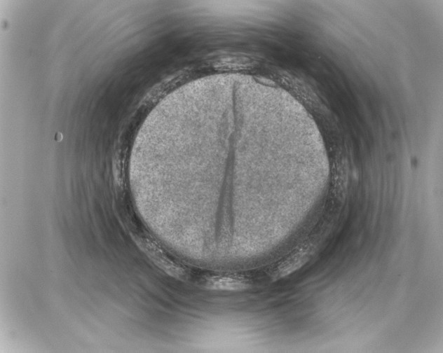 X0000085260755200704092114