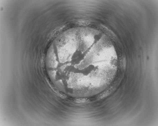 X0000085260757200704092114