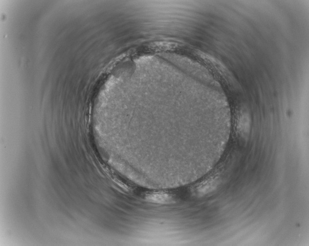 X0000085260759200704092114