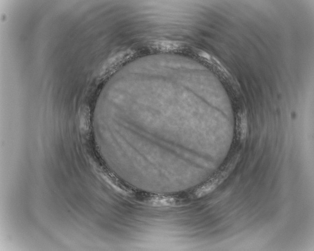 X0000085260760200704092114