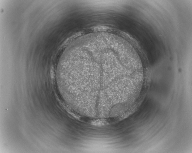 X0000085260761200704092114