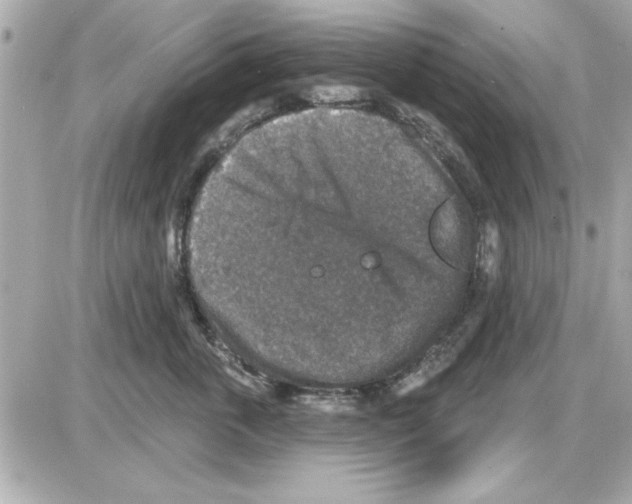 X0000085260763200704092114