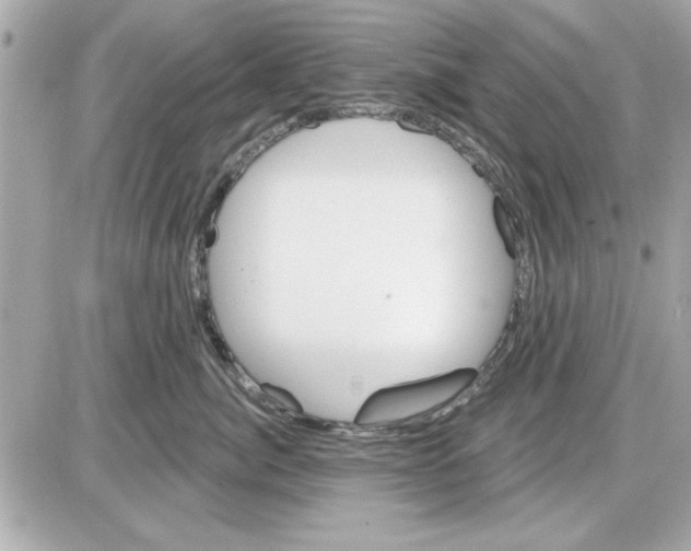 X0000085260764200704092114