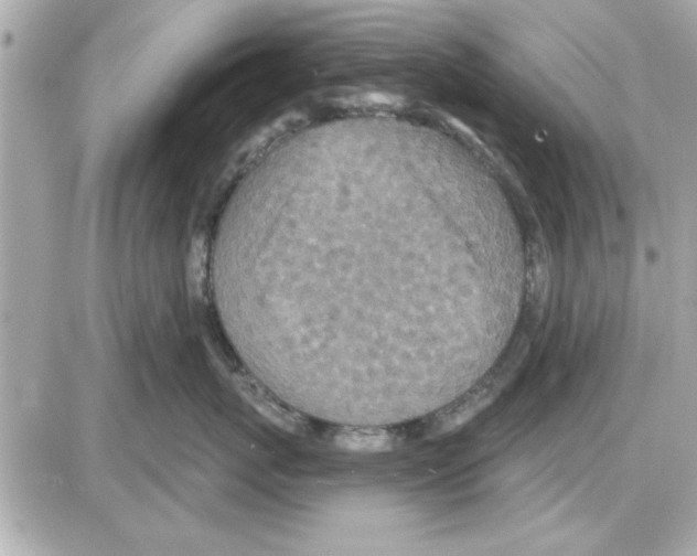 X0000085260767200704092114