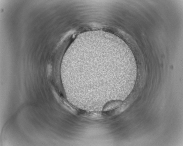 X0000085260768200704092114