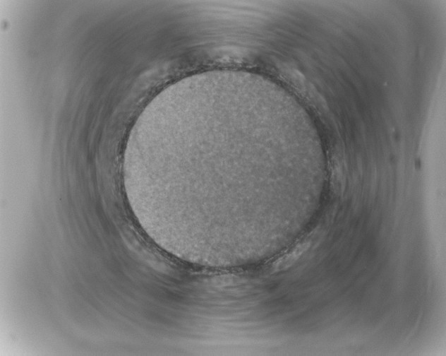 X0000085260769200704092113