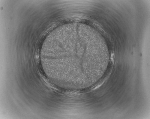 X0000085260771200704092113