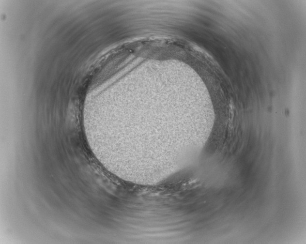 X0000085260773200704092113