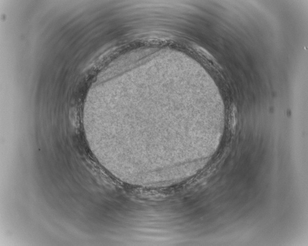 X0000085260774200704092113