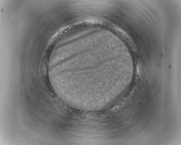 X0000085260776200704092113