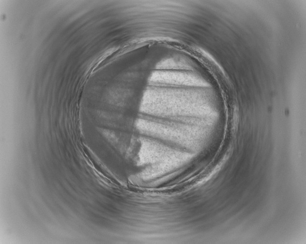 X0000085260777200704092113