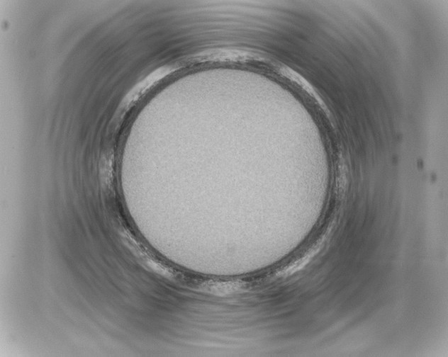 X0000085260778200704092113