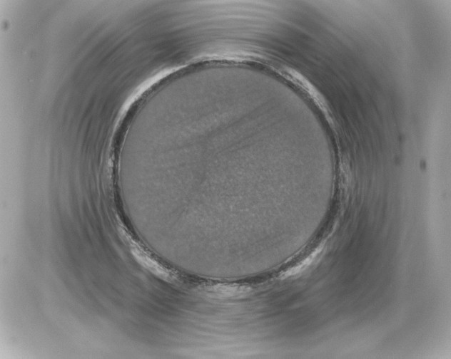 X0000085260779200704092113